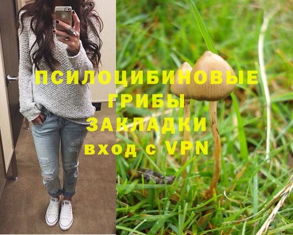 спайс Абинск