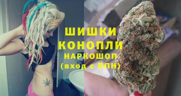 индика Абдулино