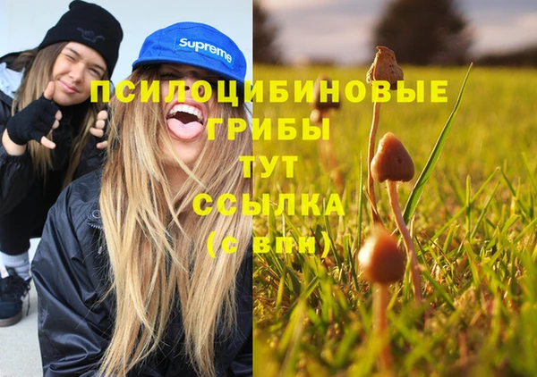 индика Абдулино