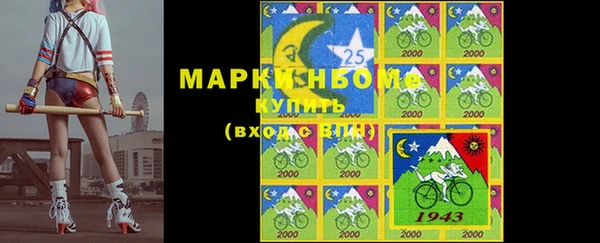 индика Абдулино