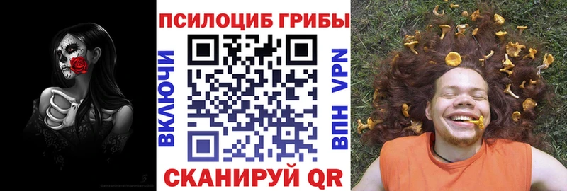Псилоцибиновые грибы прущие грибы  Советская Гавань 